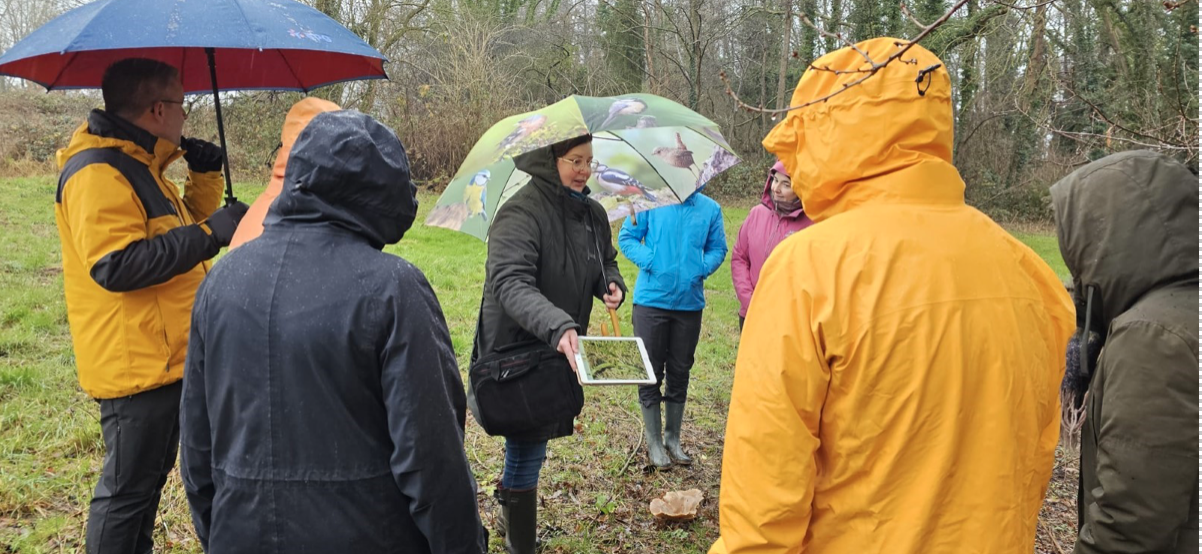 Mensen in regenkleding en met paraplu's in een bos, luisteren naar een gids.