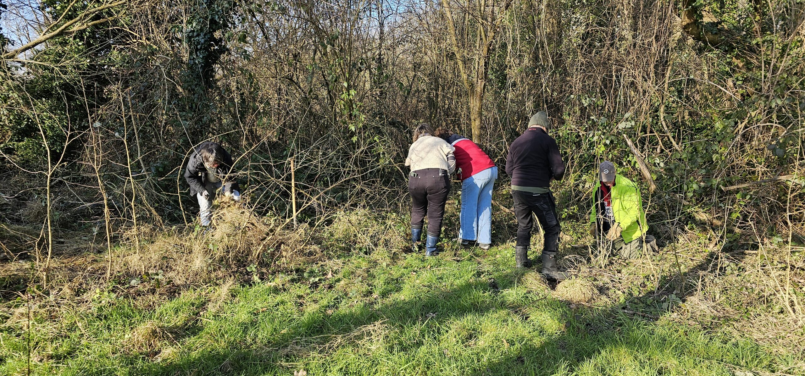 Mensen ruimen een bosrijke omgeving op; ze verzamelen takken en plantenresten.