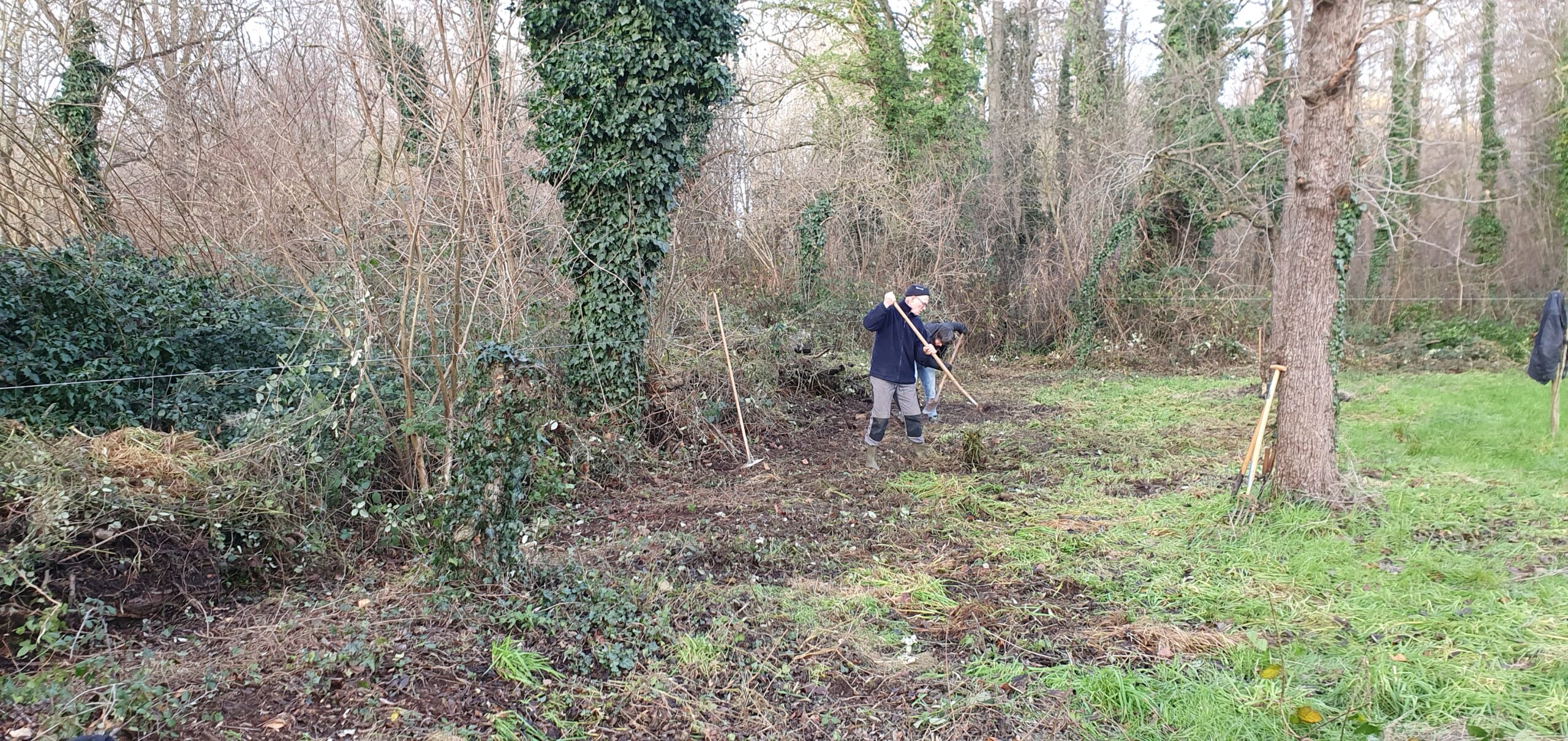 Twee mensen verwijderen onkruid langs een begroeid bosgebied met hark en schoffel.