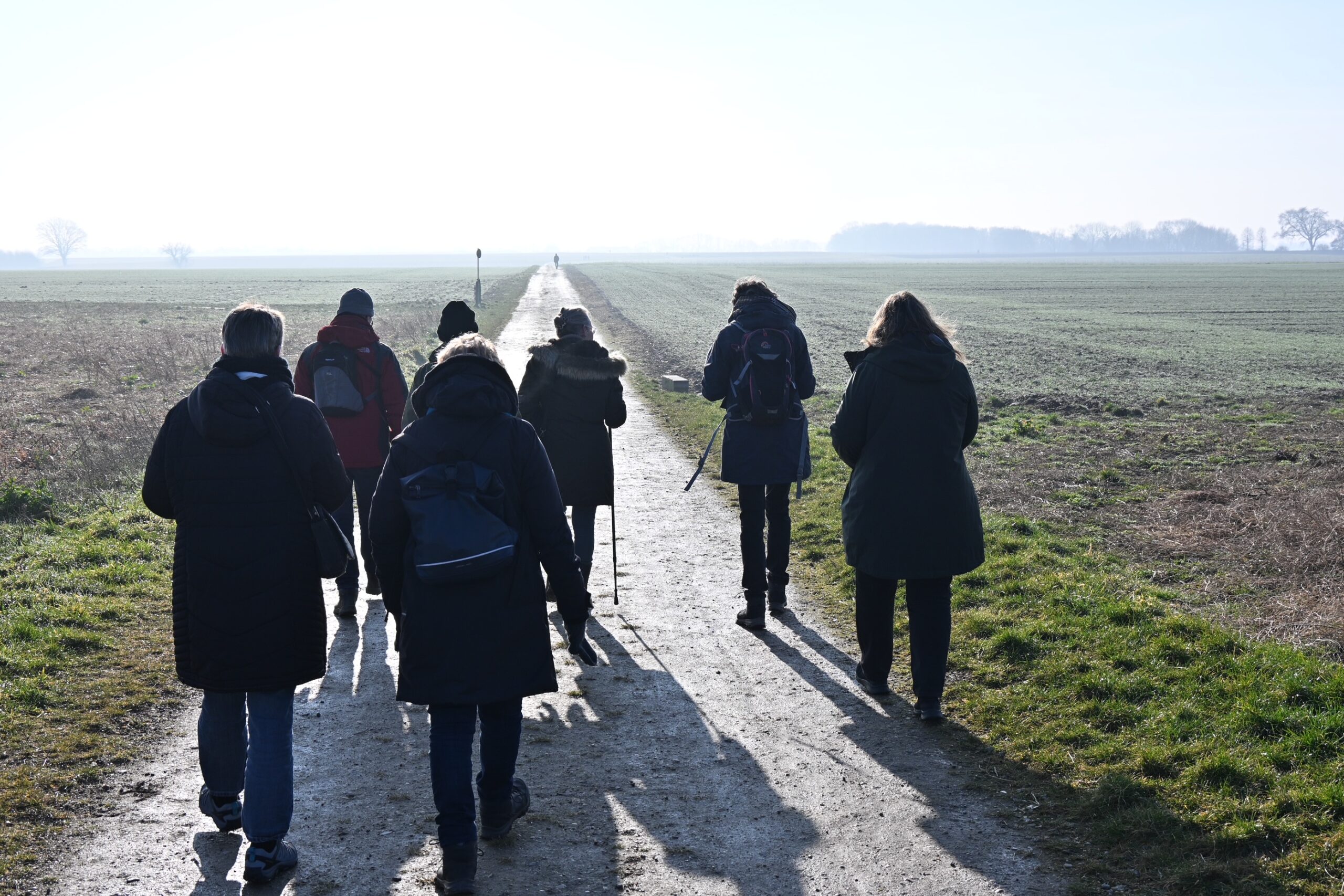 Een groep wandelaars loopt over een landelijk pad in een open veld.