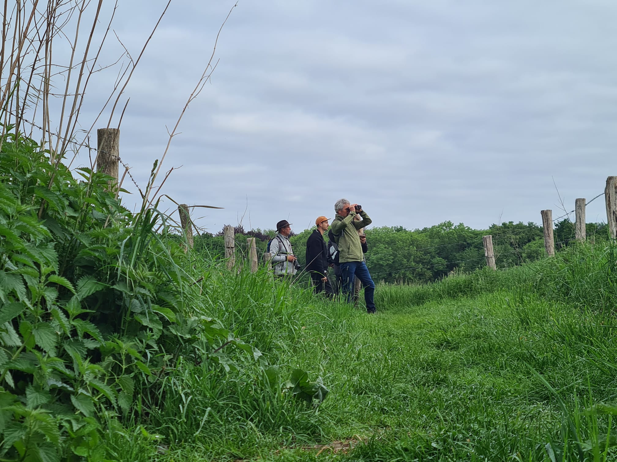 Drie mensen kijken met verrekijkers naar de lucht in een groen natuurgebied met houten hekken.