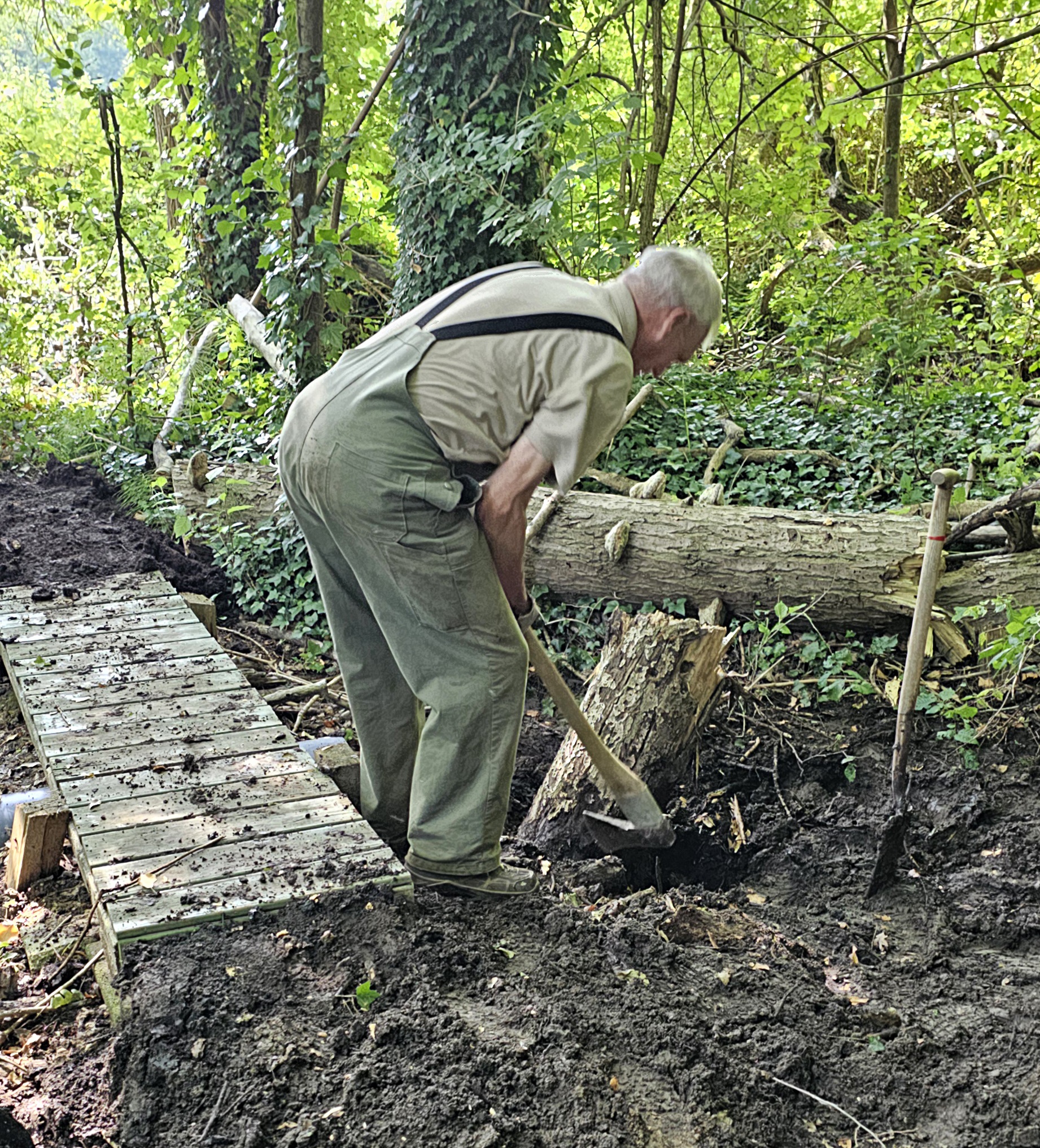 Man graaft met een schop in een bos naast een houten pad en omgevallen boom.