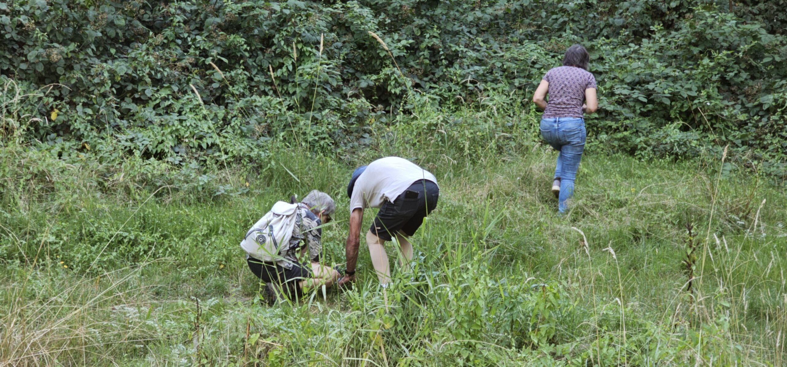 Twee mensen plukken planten; een derde loopt weg in een groene, bosrijke omgeving.