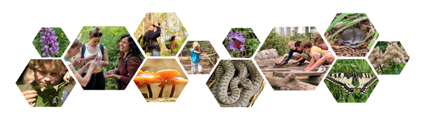 Collage van natuurfoto's: planten, mensen die observeren, kinderen spelend, en dieren in hun habitat.