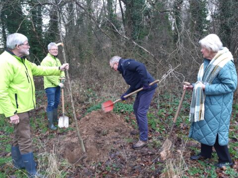 Vier personen planten een boom in een bosrijke omgeving.
