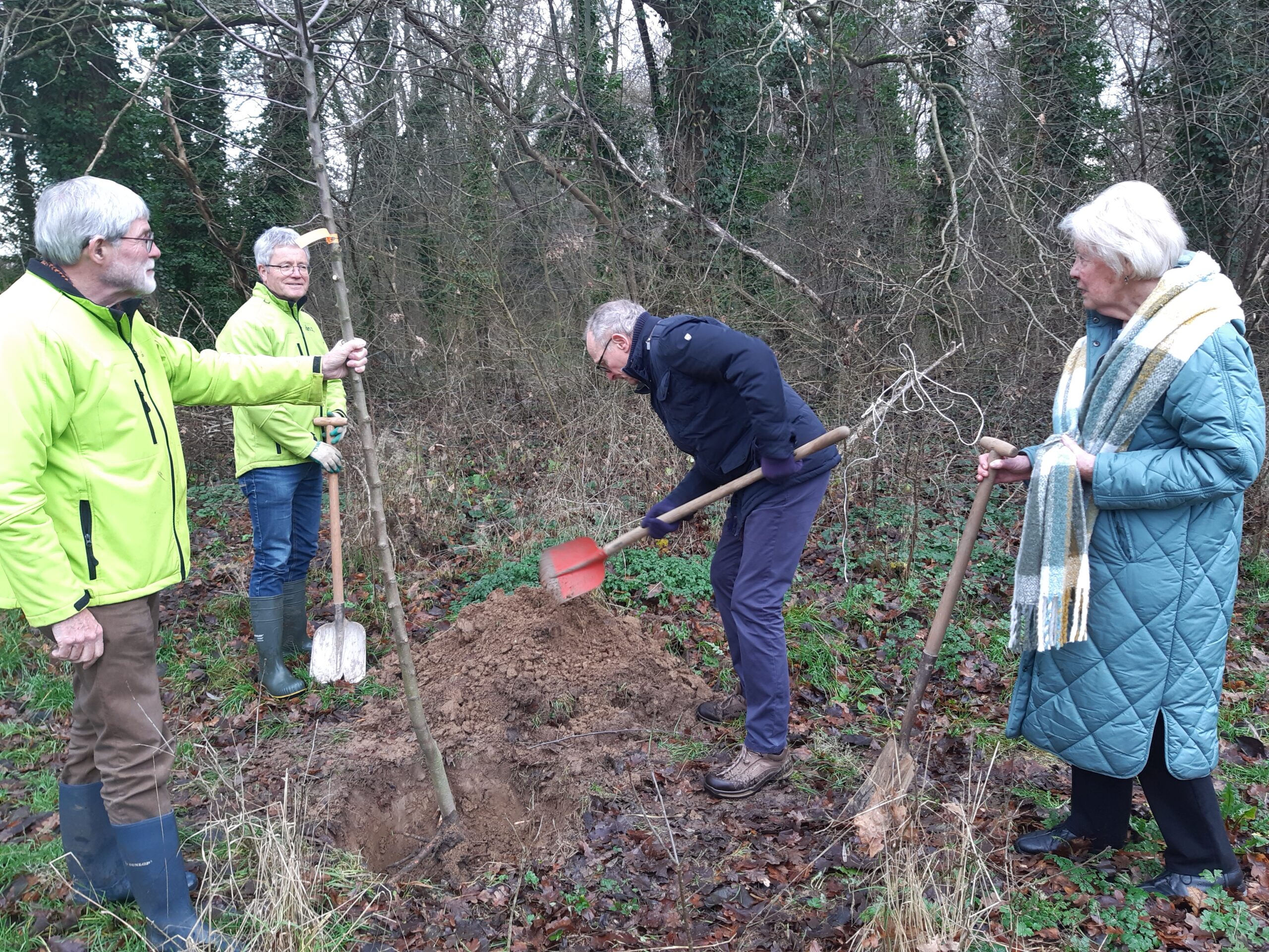 Vier personen planten een boom in een bosrijke omgeving.
