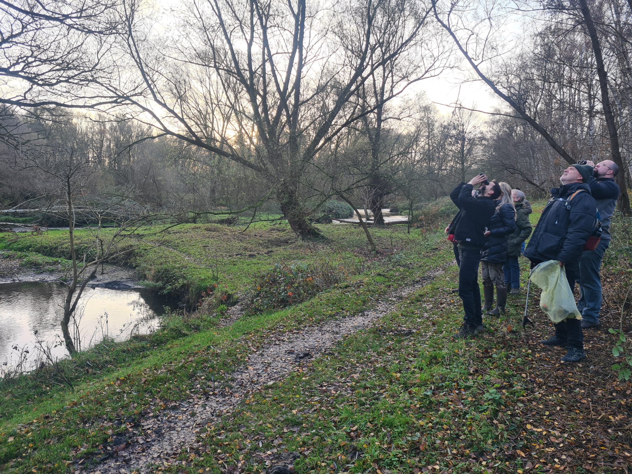Een groep mensen kijkt omhoog in een bos langs een kronkelende beek.