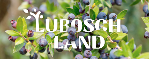Bosbessenstruik met tekst "Lubosch Land" in witte letters op de voorgrond.