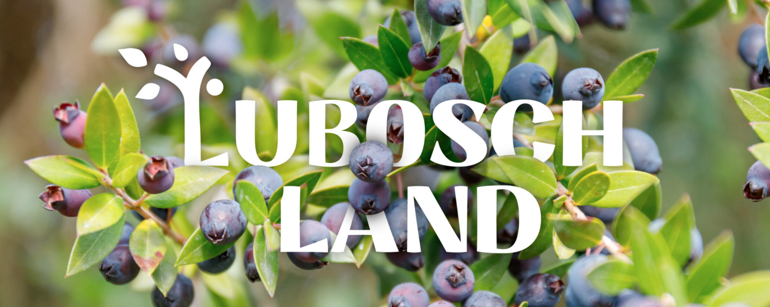 Bosbessenstruik met tekst "Lubosch Land" in witte letters op de voorgrond.
