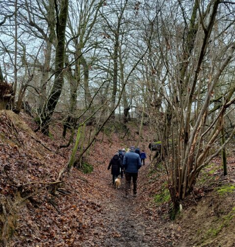 Wandelaars en een hond lopen door een bosrijke, modderige vallei onder kale bomen.