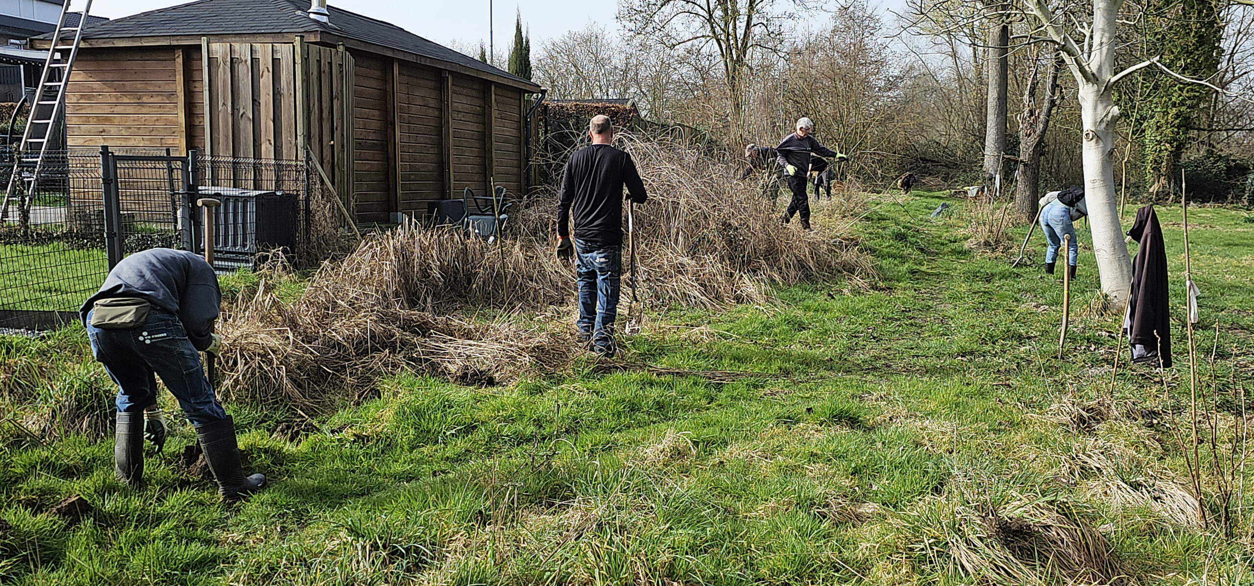 Mensen wieden gras en planten bomen naast een houten schuur in een groen, bosrijk gebied.