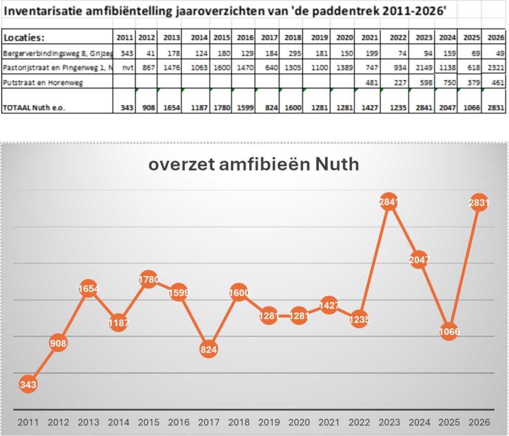 Tabel en grafiek van amfibieënoverzet in Nuth, variërend van 343 in 2011 tot 2831 in 2026.