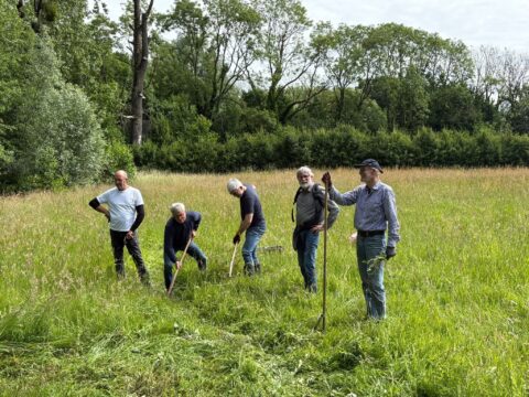 Vijf mensen maaien gras op een grasveld, omringd door bomen op een zonnige dag.