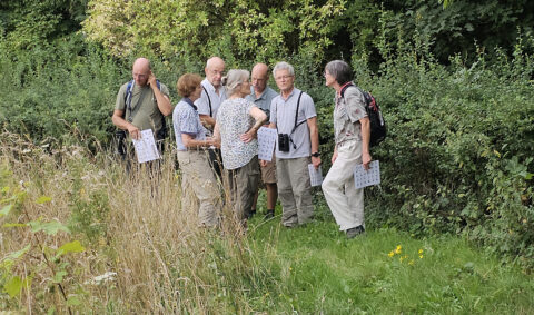 Een groep mensen onderzoekt planten met kaarten in een groene, bosrijke omgeving.
