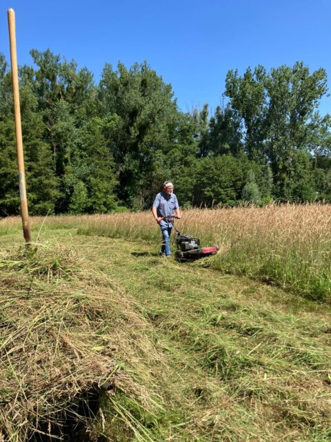 Persoon maait gras met machine in open veld, omgeven door bomen onder een blauwe hemel.