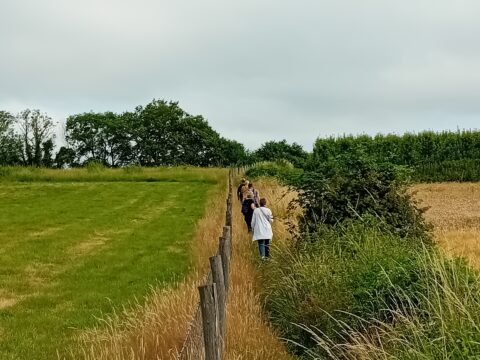 Groep mensen wandelt over smal pad langs groene en bruine velden onder een bewolkte hemel.