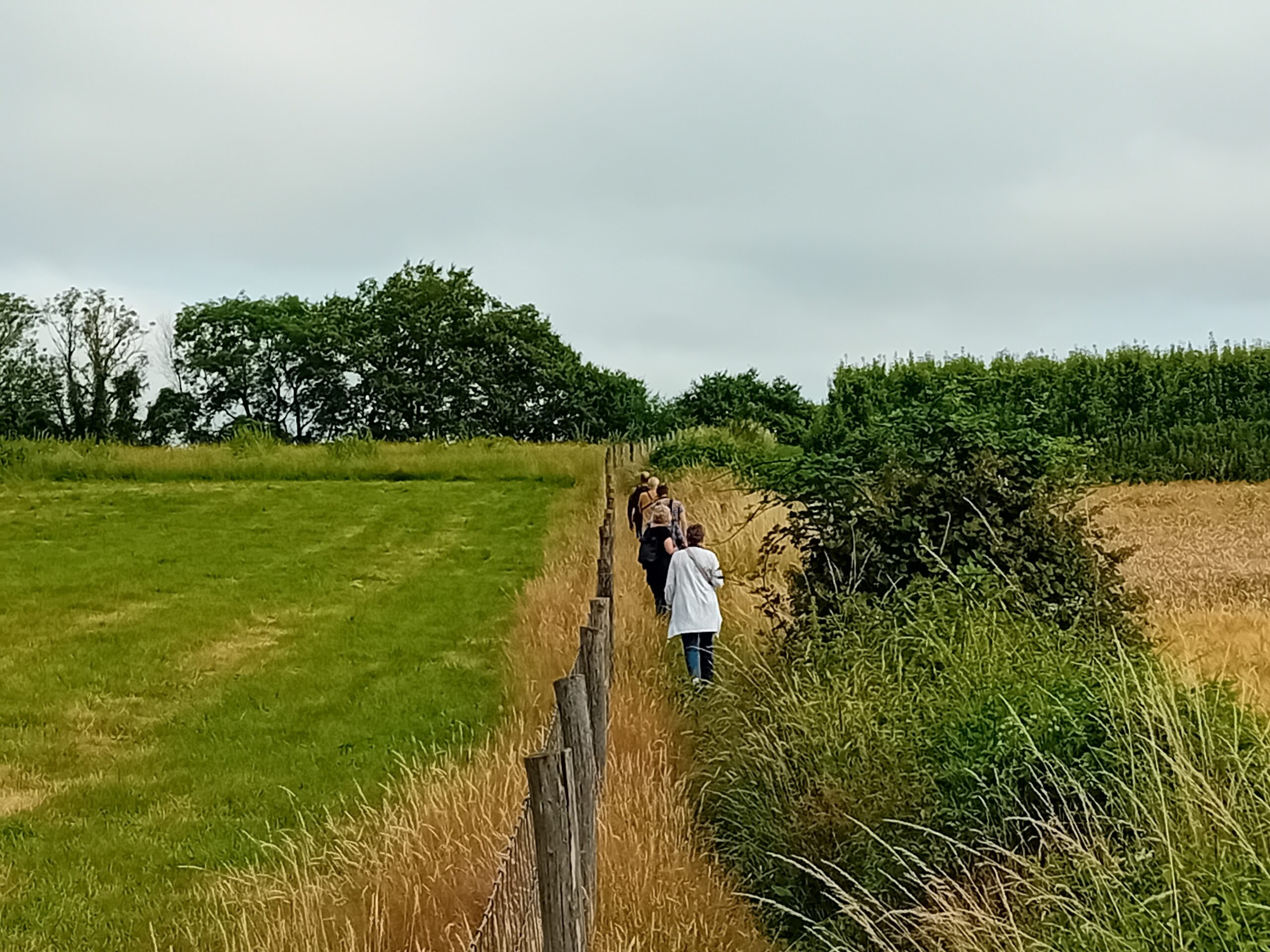 Groep mensen wandelt over smal pad langs groene en bruine velden onder een bewolkte hemel.