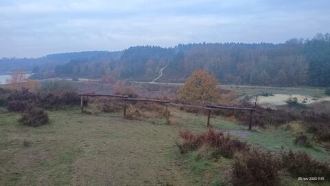 Open heuvelachtig landschap met herfstbomen, pad en houten hekje onder bewolkte lucht.