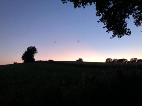 Silhouet van een boomrijke heuvel bij zonsondergang met een blauwe en roze hemel.