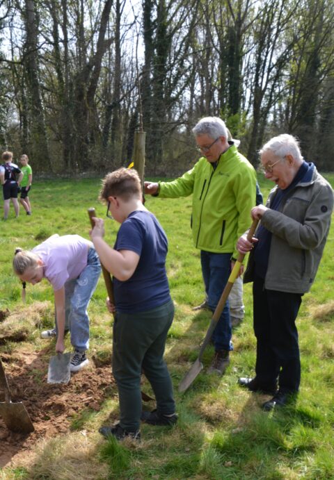 Mensen planten een boom in een grasveld omringd door bomen.