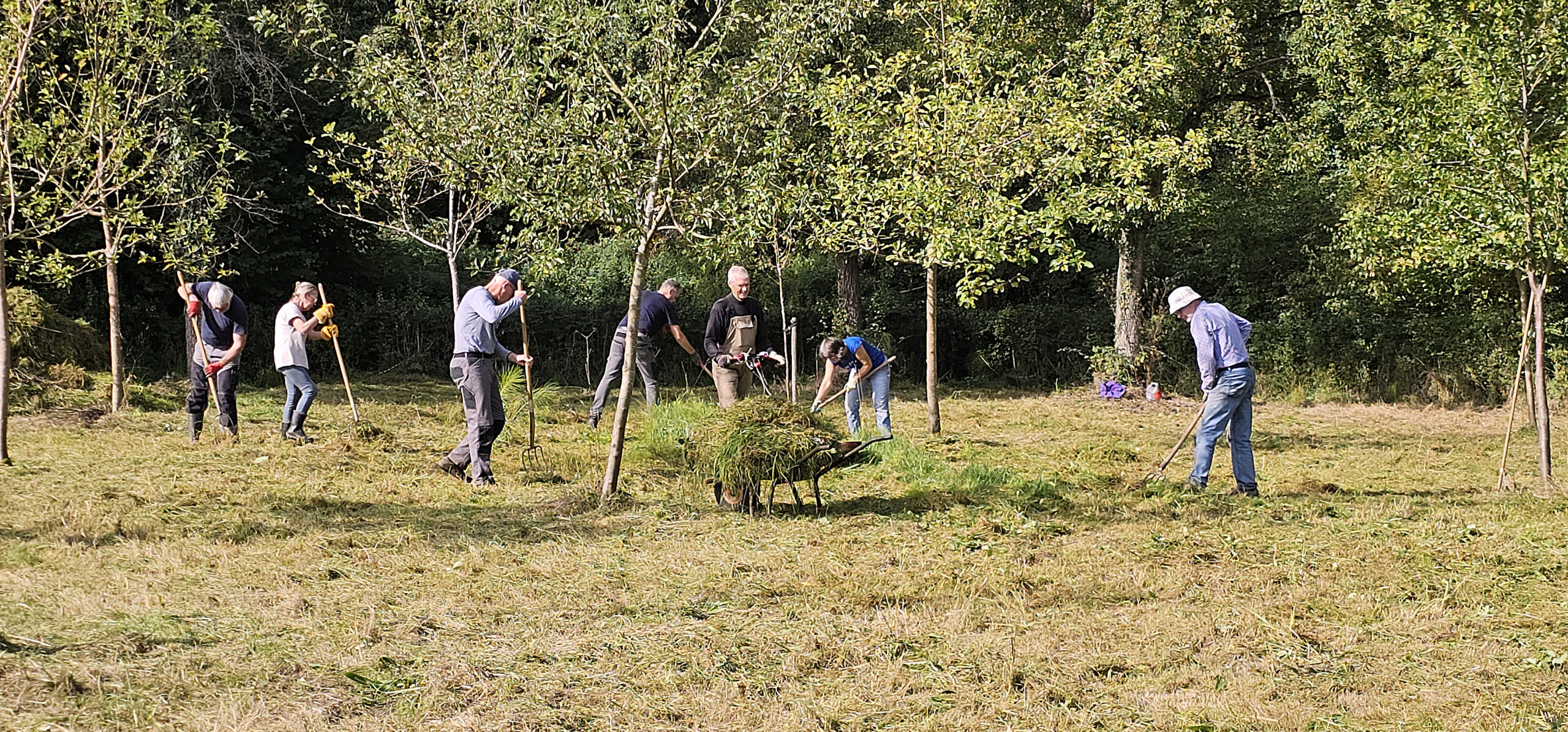 Mensen werken samen in een boomgaard, verzamelen gras in een kruiwagen.