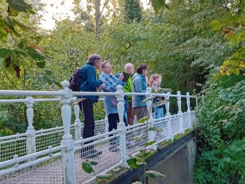 Een groep mensen staat op een brug, omringd door groene bomen in een bosrijke omgeving.