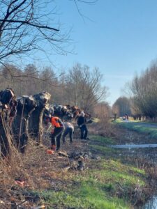 Personen snoeien bomen langs een sloot op een zonnige dag in een bosrijke omgeving.