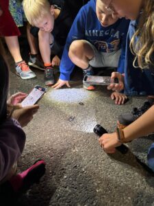 Kinderen kijken naar insecten op de grond, verlicht door telefoonzaklampen.