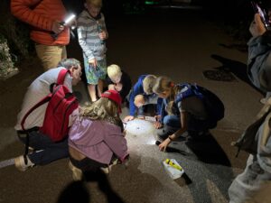 Groep mensen met zaklampen onderzoekt iets op de grond in het donker.