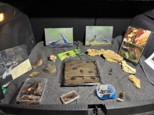 Een kofferruimtetentoonstelling met foto's en displays van kevers en houtfragmenten.