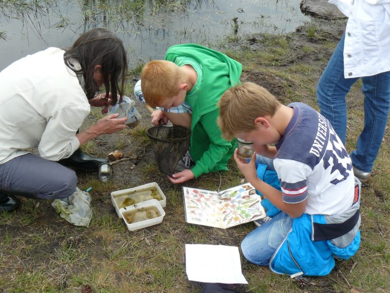 Werkgroep scholen
