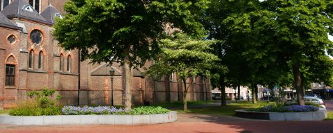 Bijzondere bomen Dorpswandeling