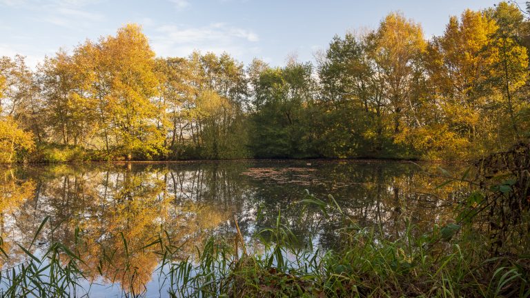 vrijwilligers