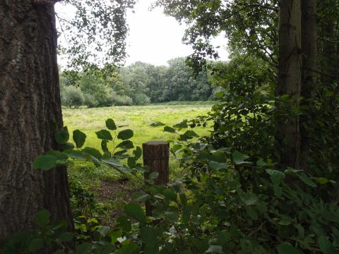 Natuurgebieden rond Best