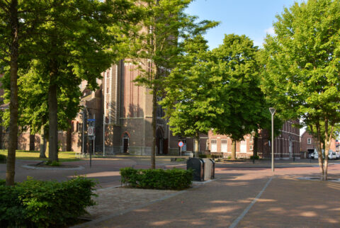 Straat met bomen en historische kerk, omgeven door bakstenen gebouwen op zonnige dag.