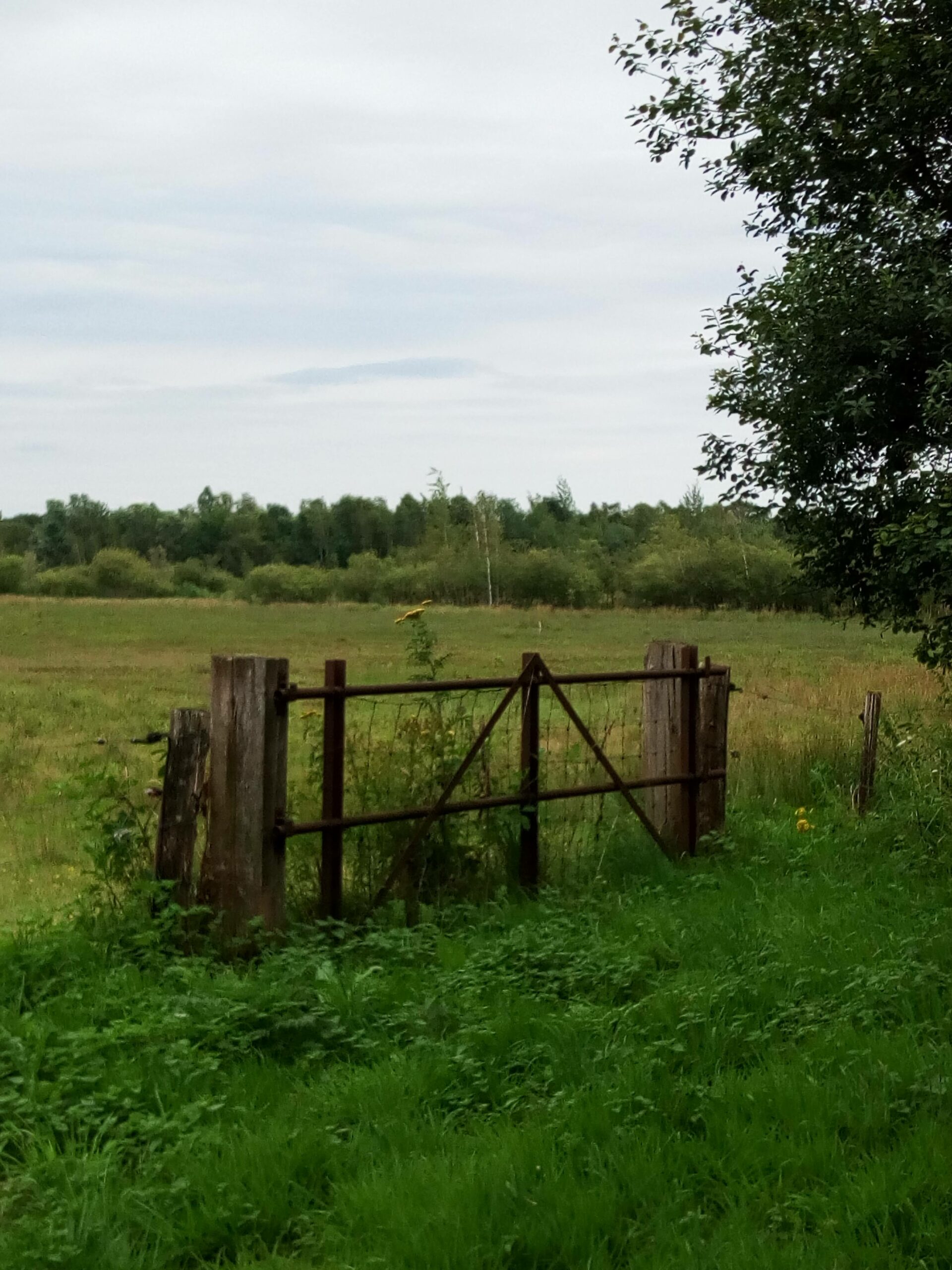 Verroest hek in groene weide met bomen en bewolkte lucht op de achtergrond.