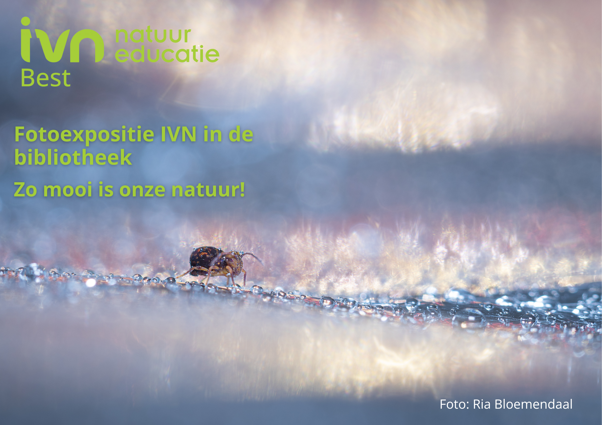 Close-up van een insect en dauwdruppels met groene tekst over een IVN fotoexpositie.