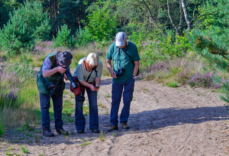 Drie mensen met camera’s onderzoeken iets in een bosrijke omgeving met heide.