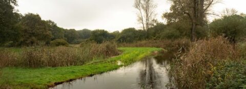 Een kronkelende beek in een groen, bosrijk landschap onder een bewolkte hemel.