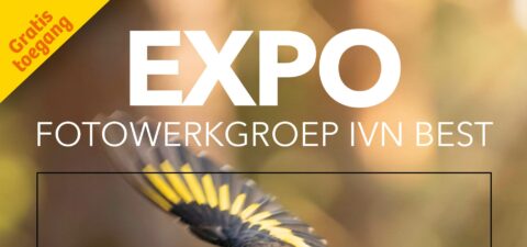 Poster voor expo Fotowerkgroep IVN Best, met gratis toegang en vogelafbeelding.