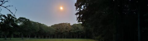 Volle maan boven een veld omringd door bomen in de schemering.