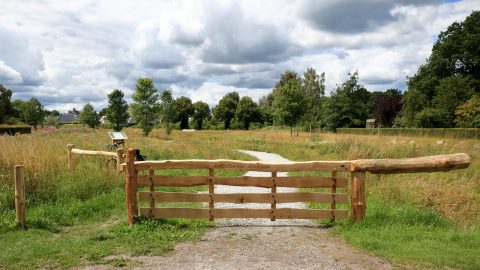 Planten in Natuurparkje Alinghoek genoteerd