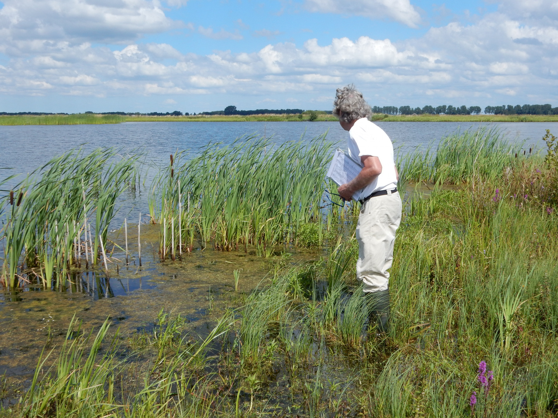 Plantenwerkgroep inventariseerde in de afgelopen zomer plantengroei in Lofar