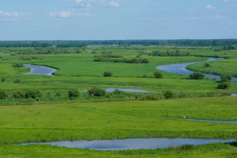 landschap Polen