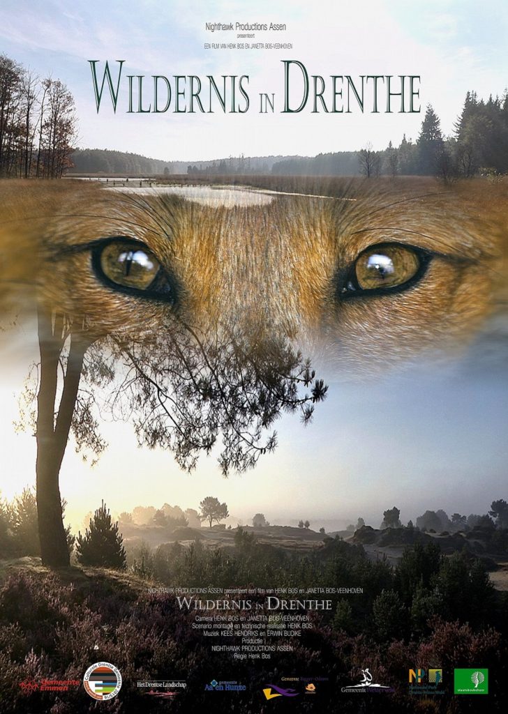 wildernis in Drenthe