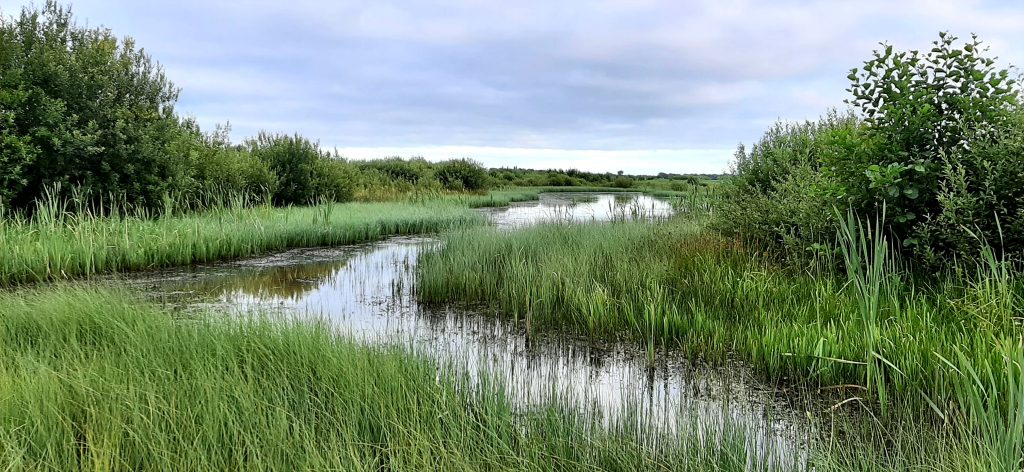 Mandelanden