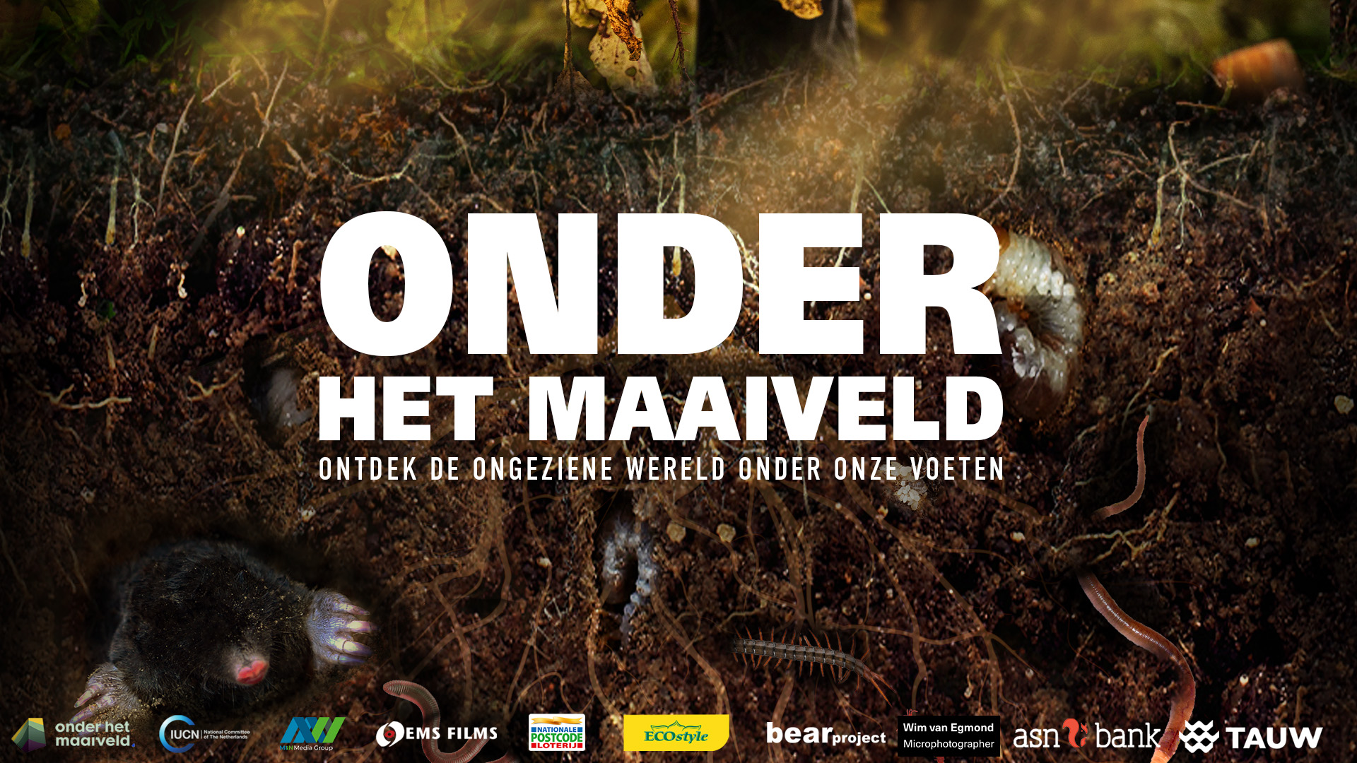 onder het maaiveld