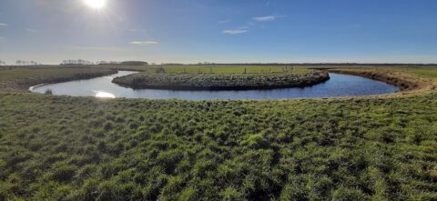 nieuwe meander in het achterste diep