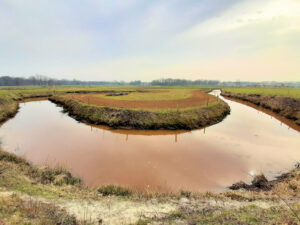 meanderende Ruiten Aa