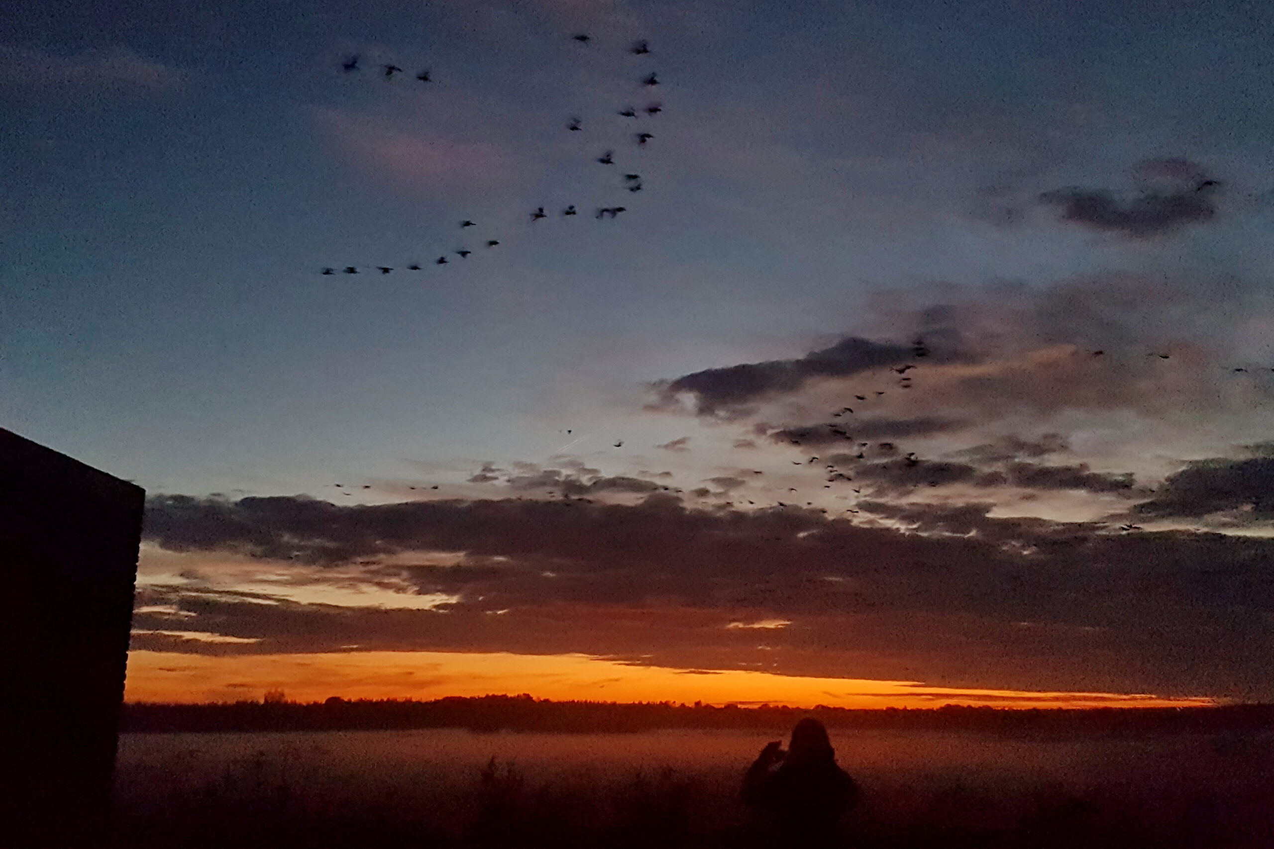 Zonsopgang met silhouet van persoon en vliegende vogels tegen een kleurrijke hemel.